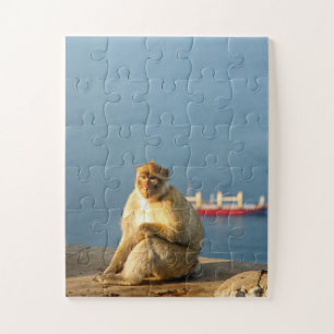 Gibraltar Barbary ape 30-pc Jigsaw Puzzle