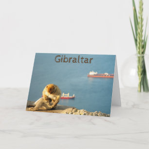 Gibraltar Barbary ape Card
