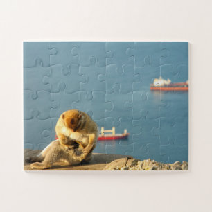 Gibraltar Barbary ape Jigsaw Puzzle