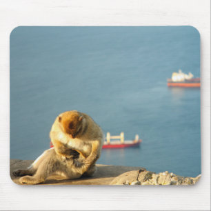 Gibraltar Barbary ape Mouse Pad