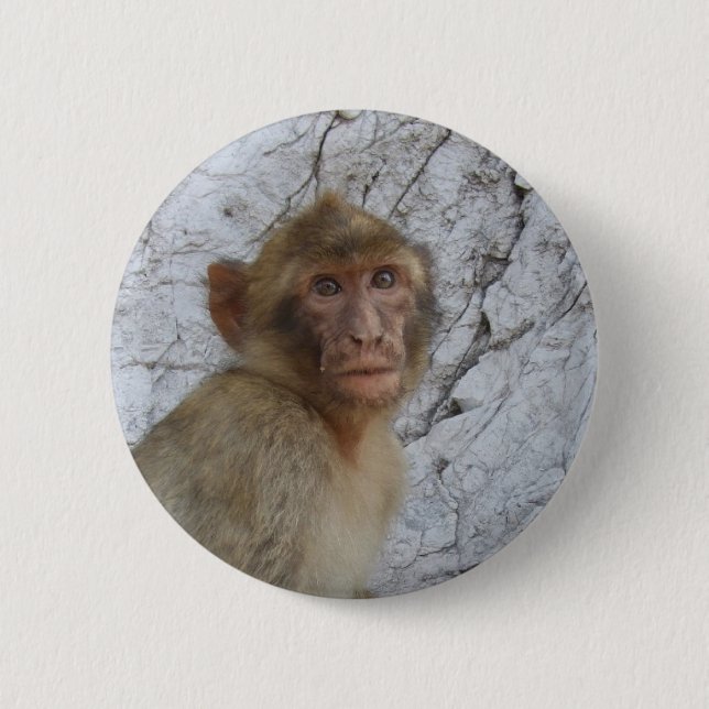 Gibraltar Monkey button (Front)