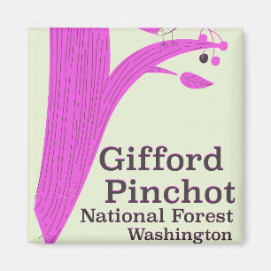 Gifford Pinchot National Forest Washington Magnet
