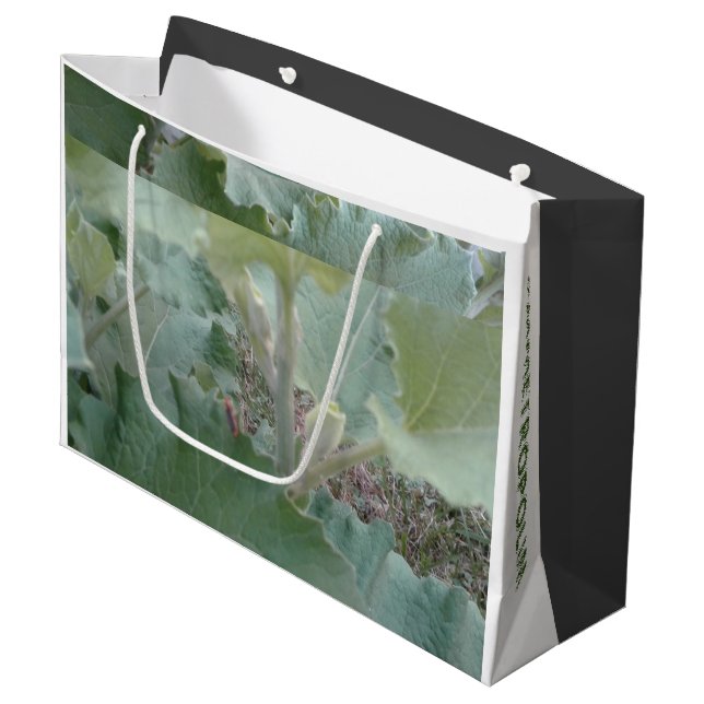 Gift Bag/Card/ MMETROPOLIM NATURE DESIGN Large  Large Gift Bag (Front Angled)