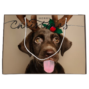 GIFT BAG CHOCOLATE LABRADOR PUPPY WITH ANTLERS