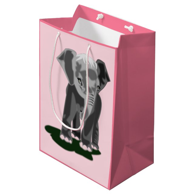 Gift Bag - Eli (Front Angled)