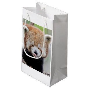 Gift Bag Photo red panda , animals 0269.