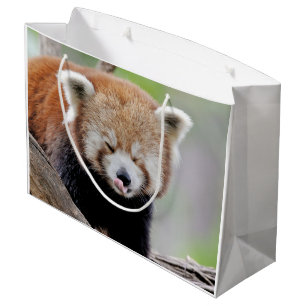 Gift Bag Photo red panda , animals 0272.