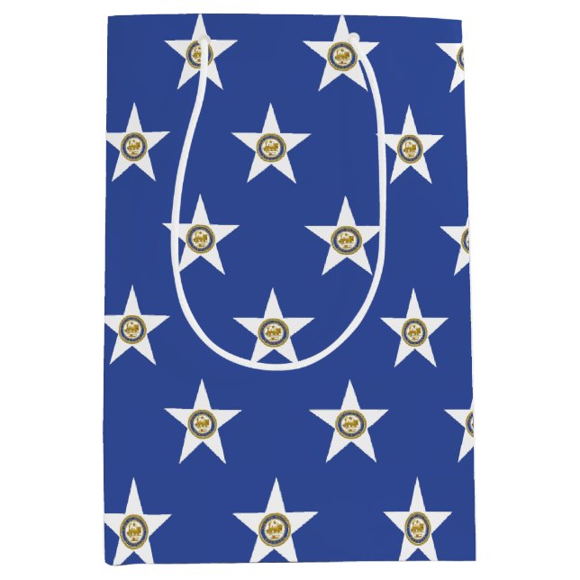Gift Bag with flag of  Houston, Texas, USA (Front)