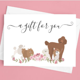 Gift Certificate Dog Grooming Pet Vet Boarding