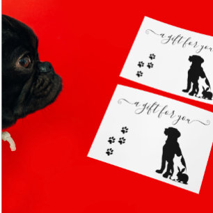 Gift Certificate Pet Veterinarian Boarding 