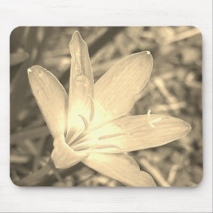 GIFT FOR NATURE LOVER WITH FLOWER MOUSE PAD