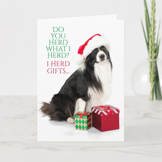 Gift Herding Border Collie With Santa Hat Holiday Card (Front)