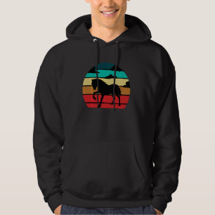 Gift Horse Sunset Retro Horseback Riding Animal Eq Hoodie
