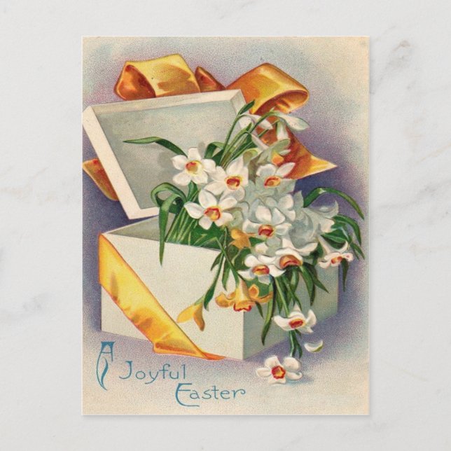 Gift Present Daffodil Jonquil Postcard (Front)