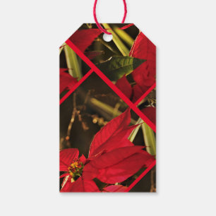 Gift Tag Poinsettia Christmas Holiday