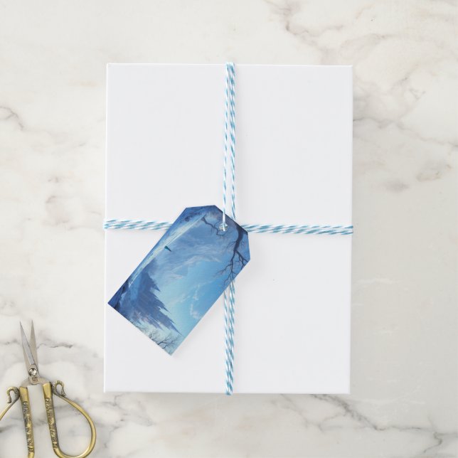 Gift Tags - Frozen (With Twine)
