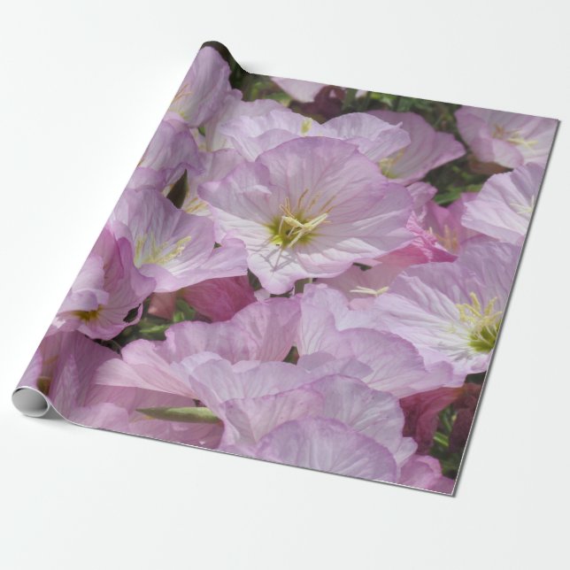 Gift Wrap - Primrose (Unrolled)