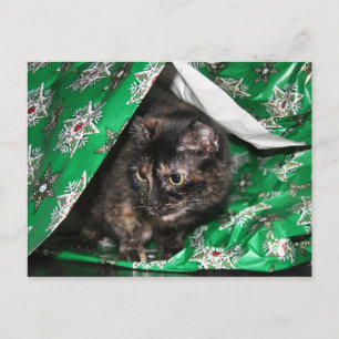 Gift wrapped tortoiseshell postcard