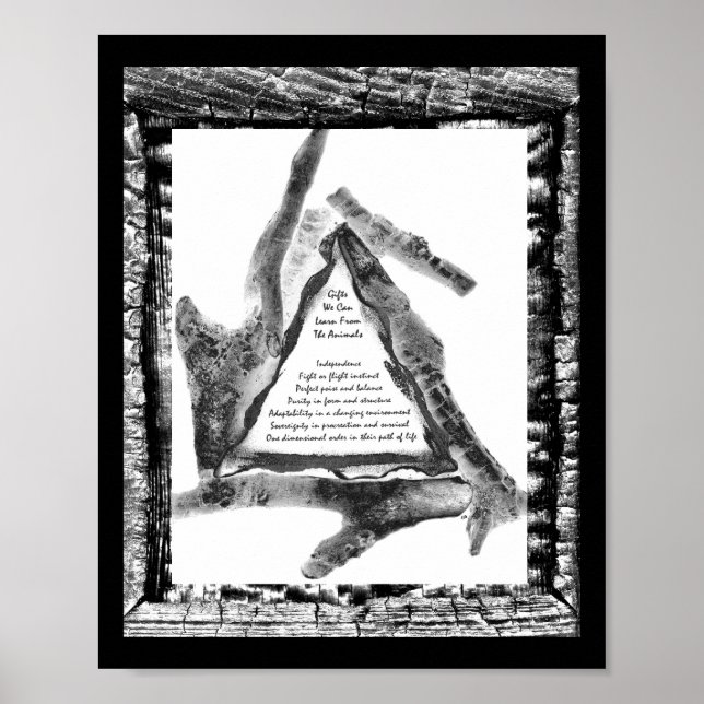 Gifts From Animals Poster (Front)