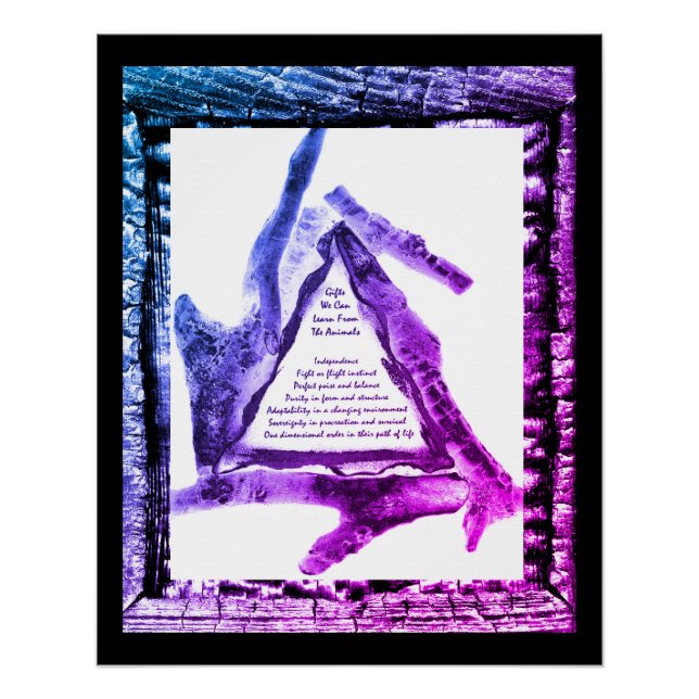 Gifts From Animals Poster (Front)