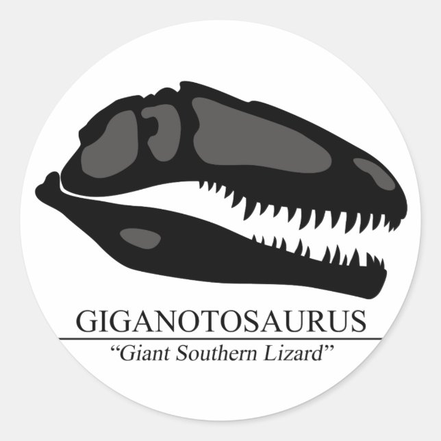 Giganotosaurus Skull Classic Round Sticker (Front)