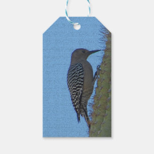 Gila Woodpecker Clings To Saguaro Cactus Arizona Gift Tags