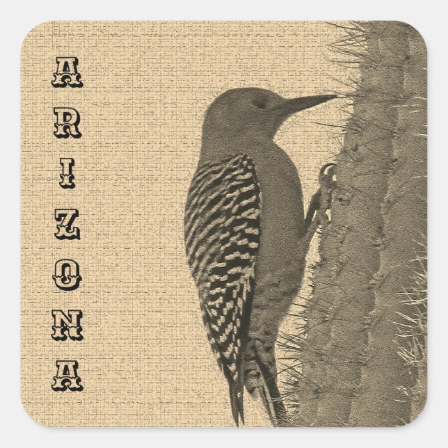 Gila Woodpecker Clings To Saguaro Cactus Arizona Square Sticker (Front)