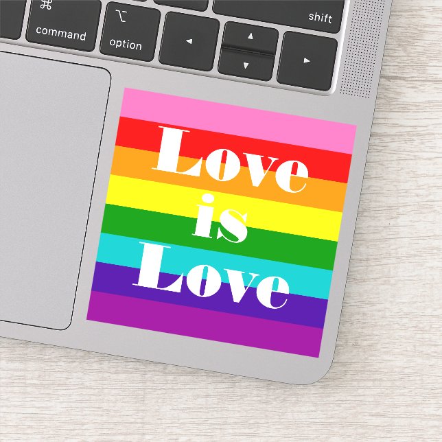 Gilbert Baker Gay Pride Flag Love is Love (Detail)
