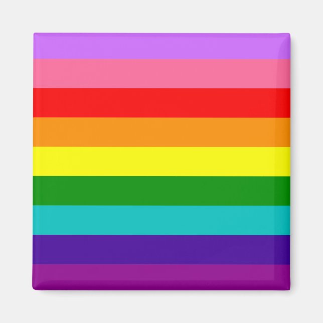 Gilbert Baker's 9-Stripe Rainbow Flag Magnet (Front)