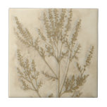 Gilded Foliage II Tile<br><div class="desc">Floral</div>