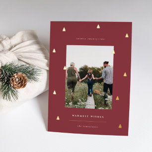 Gilded Forest   Elegant Christmas Photo
