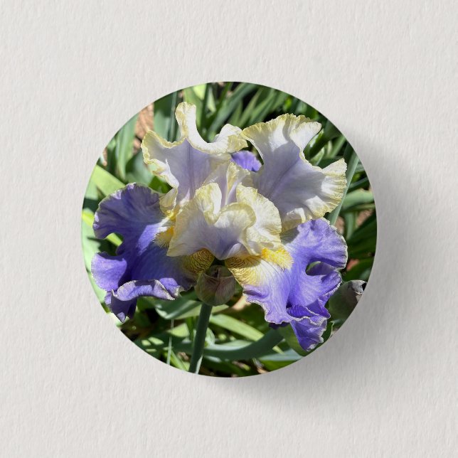 Gilded Iris Button (Front)