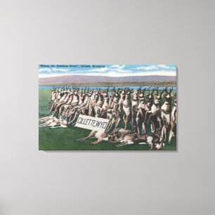Gillette, WY - Where the Antelope Roam Canvas Print