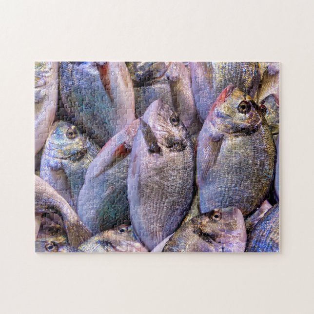 Gilt-head bream jigsaw puzzle (Horizontal)