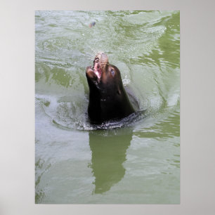 Gimme Fish...NOW Poster