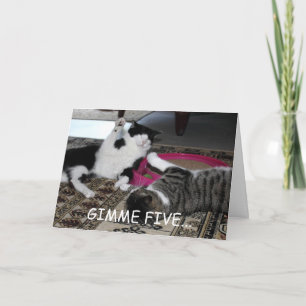 Gimme Five Card