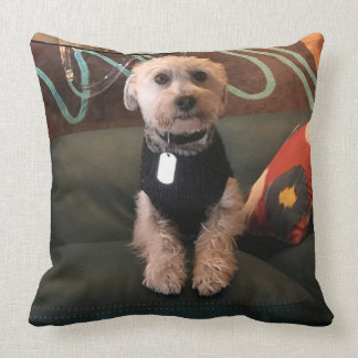 Gindick - Turley Cushion