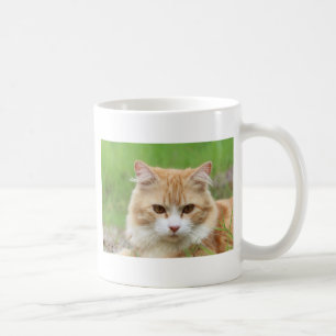 Ginger and White Cat, so cute! Coffee Mug