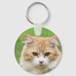 Ginger and White Cat, so cute! Key Ring