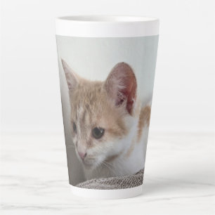 Ginger and White Kitten Latte Mug