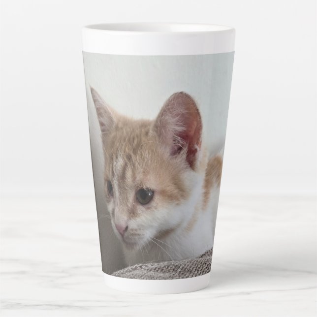 Ginger and White Kitten Latte Mug (Front)