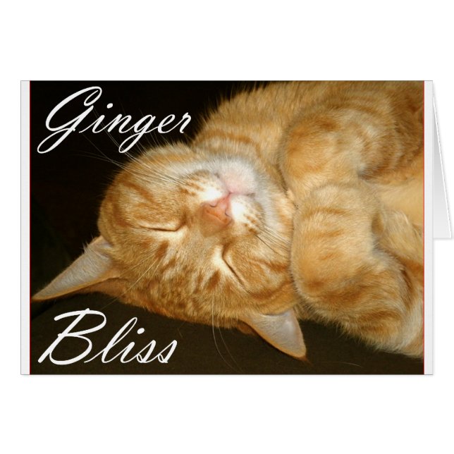 Ginger Bliss (Front Horizontal)