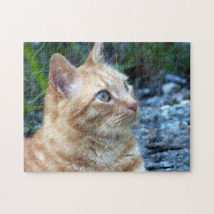 Ginger Boy Jigsaw Puzzle
