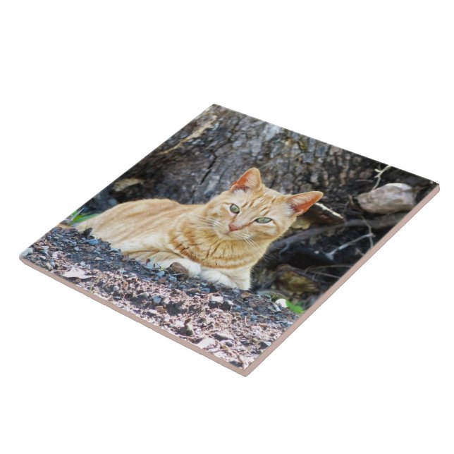 Ginger Boy Tile (Side)