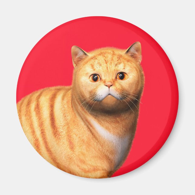 Ginger Cat 3 Magnet (Front)