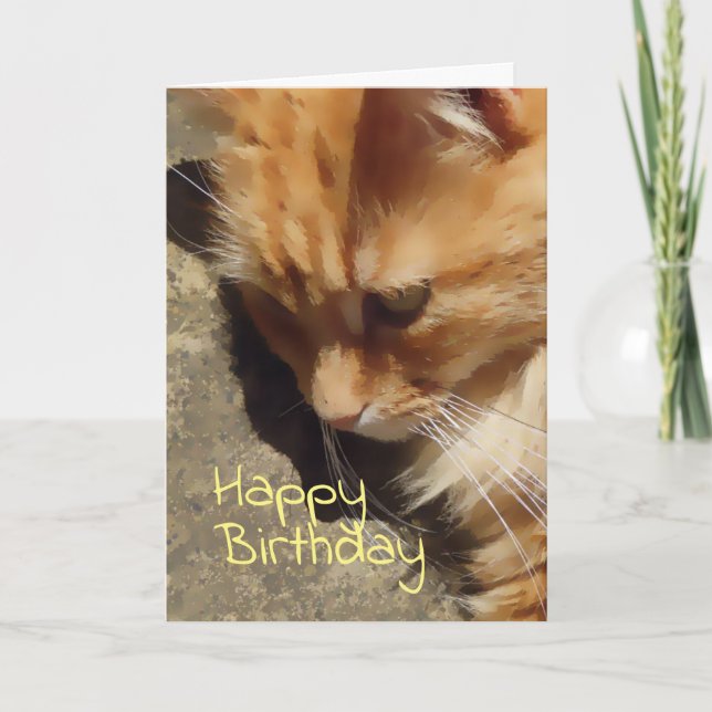 Ginger cat Birthday card (Front)