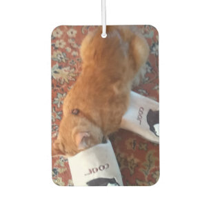 ginger cat car air freshener