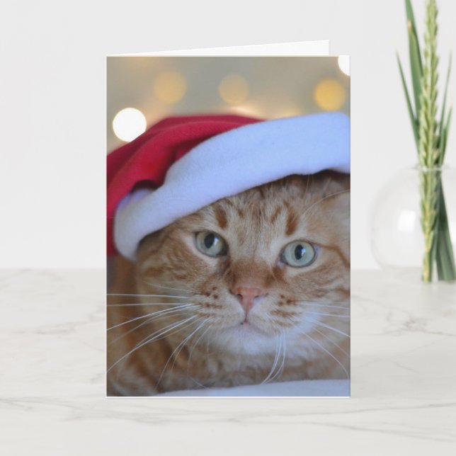 GINGER CAT CHRISTMAS CARD (Front)