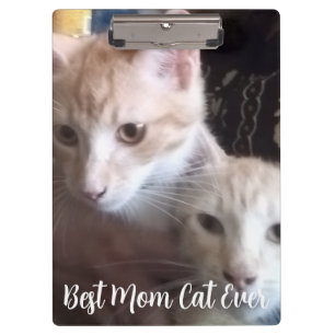 Ginger cat clipboard