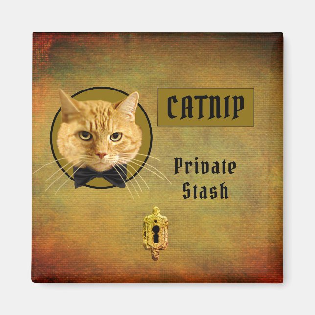 Ginger Cat Customisable Catnip Magnet (Front)